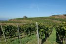 Blick auf das Winzerhaus