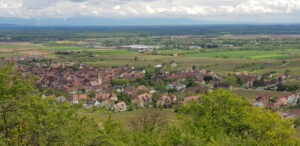 Blick auf Bergheim vom Grasberg aus