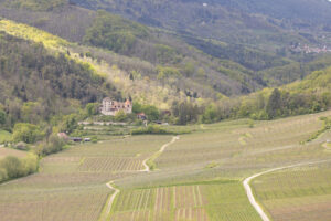 Blick auf Domaine du Reichenberg